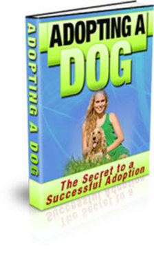 Product picture Adopting a dog PLR ebook