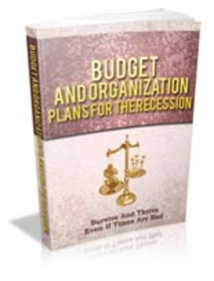 Product picture Budget And Organization Plans For The Recession